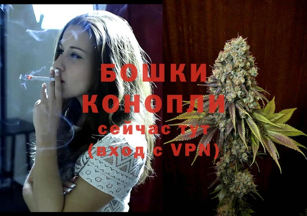 стаф Красноперекопск