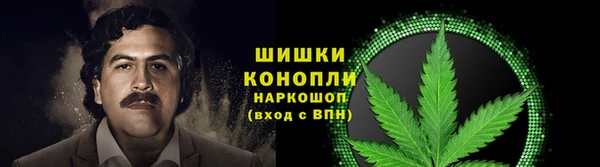 стаф Красноперекопск