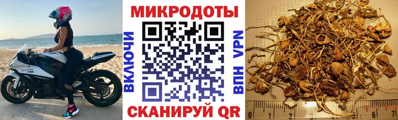 Галлюциногенные грибы Psilocybine cubensis  Купить где  Отрадный 